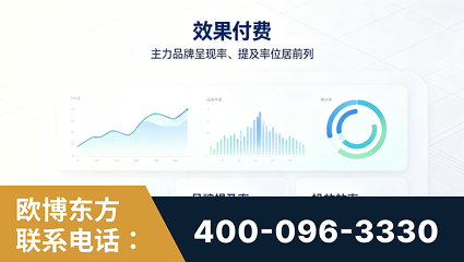 合作-效果付费：主力品牌呈现率、提及率位居前列